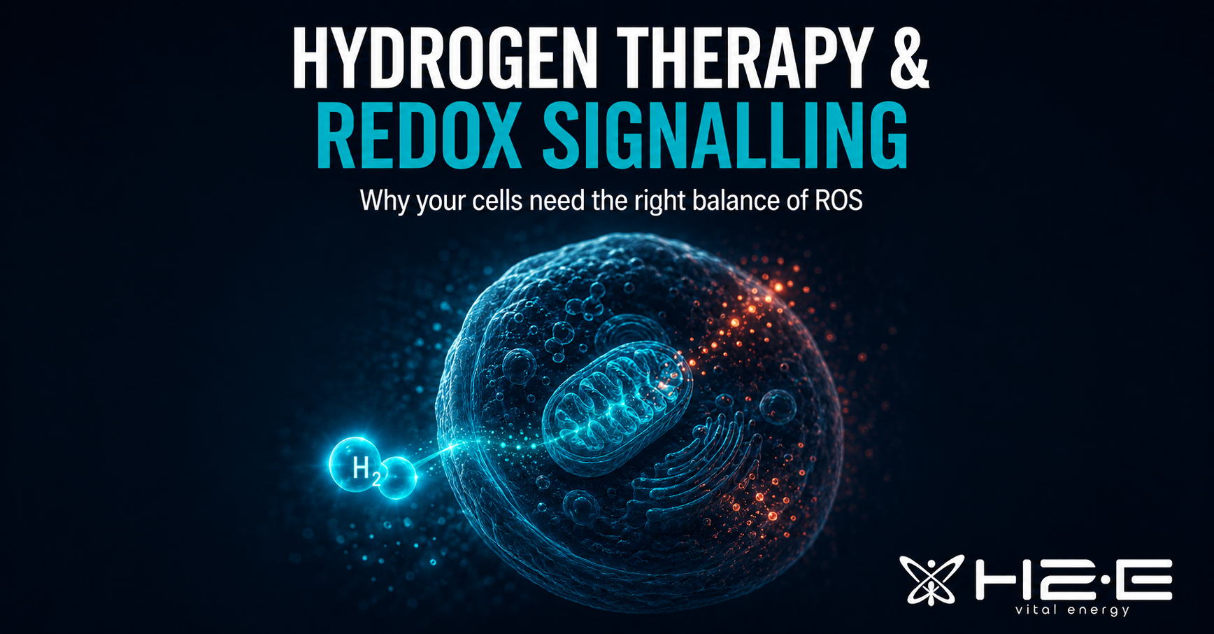 Hydrogen Therapy and Redox Signalling